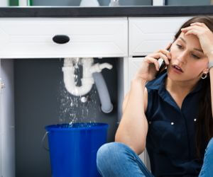 About Emergency plumbing pros Williamsville, IL